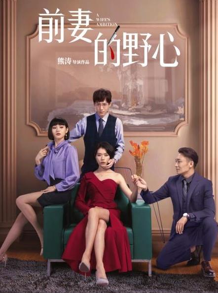 前妻的野心 第05集